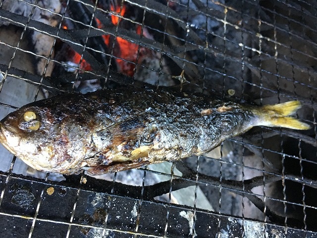 タカベ塩焼き