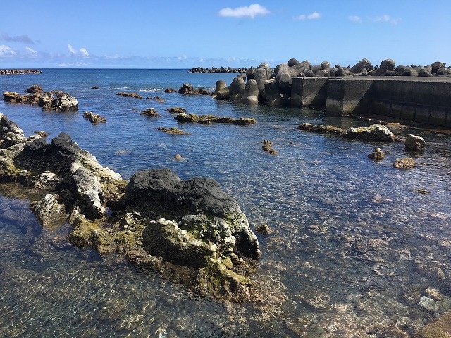 底土海岸磯遊び