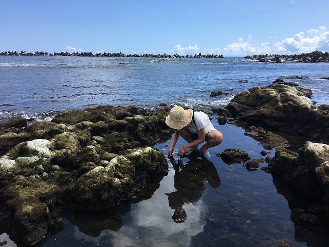 底土海岸磯遊び