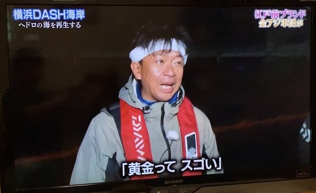 東京湾の金アジ城島くん