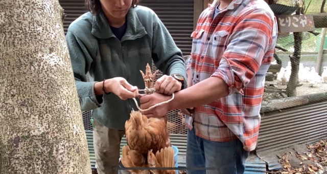 足を縛る