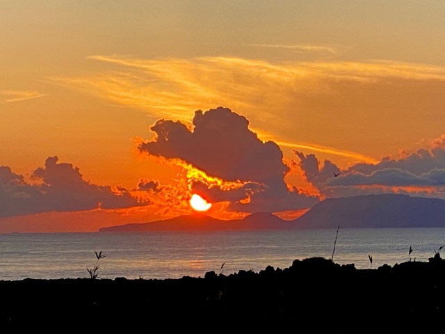 夕陽がうつぼ